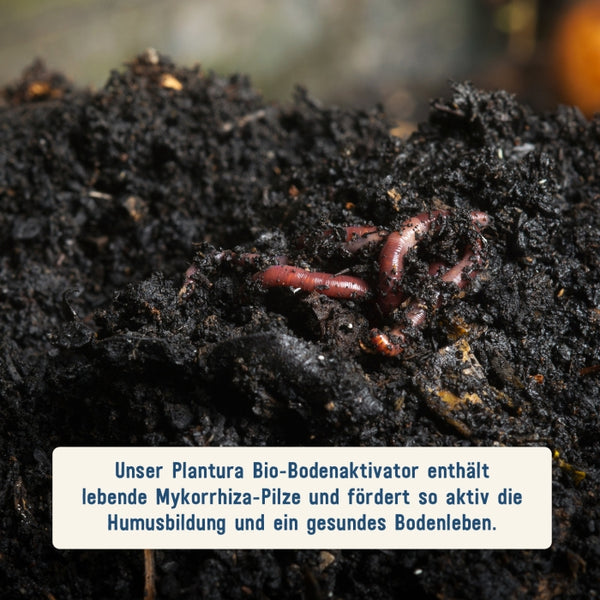 Plantura Bio-Bodenaktivator Mykorrhiza-Pilze